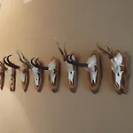 Alojamento de Acomodação e Pequeno-almoço Alpenhof