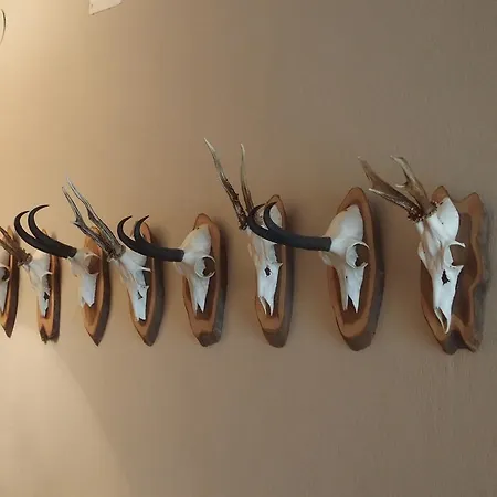 Frühstückspension Alpenhof