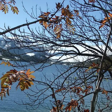 Alpenhof 4* Bad Aussee