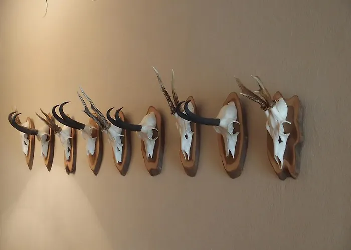 Bed & Breakfast Alpenhof